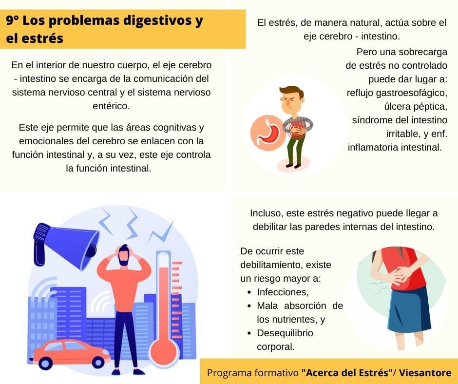 Infografía donde se detalla la relación de los problemas digestivos con el estrés