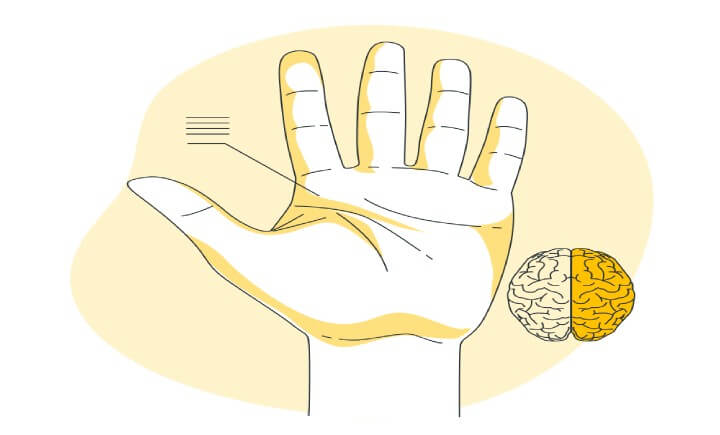 Imagen que ilustra el tema Ejercicios para el cerebro con las manos.